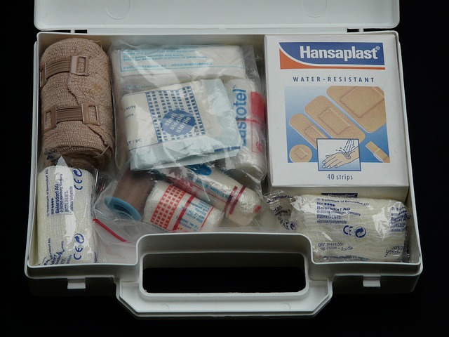 Emergency Kits_Travengers